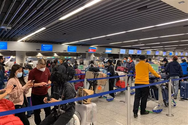 将在德国滞留的近310名越南公民安全接回国 ảnh 1 将在德国滞留的近310名越南公民安全接回国 ảnh 1