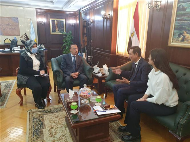 激发潜力 促进越埃经贸合作 ảnh 2