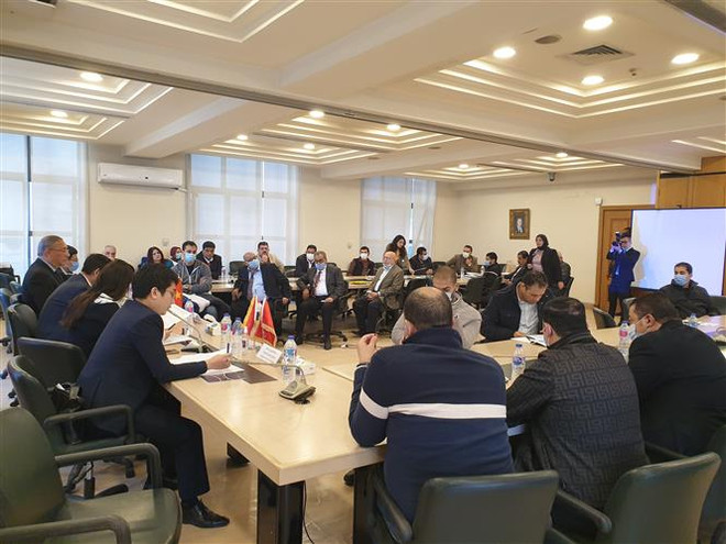 激发潜力 促进越埃经贸合作 ảnh 1