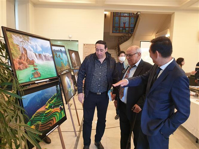 加强对埃及友人的越南文化推广力度 ảnh 1