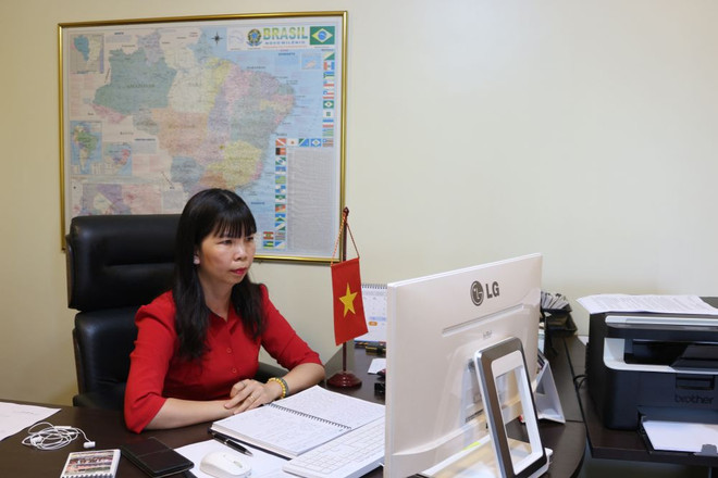 进一步加强越南乃至东盟各国与巴西的经贸合作 ảnh 1 进一步加强越南乃至东盟各国与巴西的经贸合作 ảnh 1