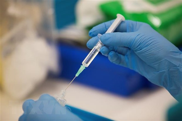 印尼将向民众提供免费新冠疫苗 ảnh 1