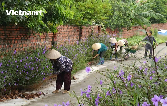 实现新农村建设国家目标计划10年后广宁省已提前完成既定目标 ảnh 2