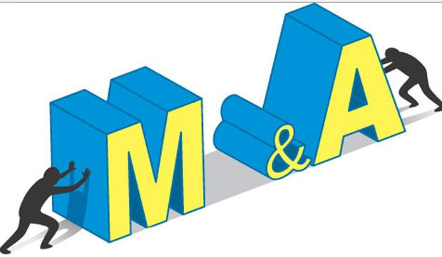 越南10年并购交易数量4350多起 ảnh 1