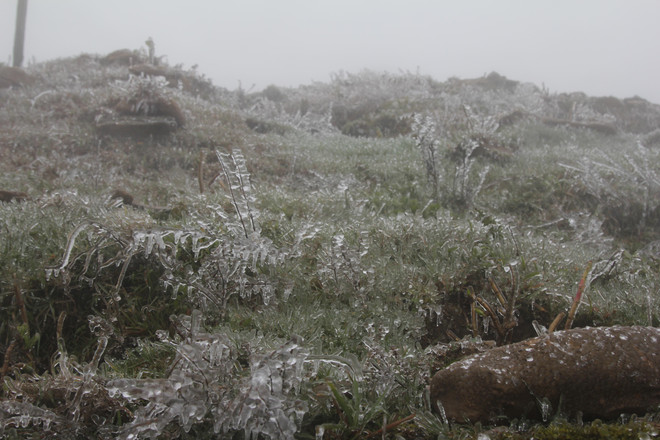 老街和谅山省遭受今年冬季以来最低的气温 ảnh 2 老街和谅山省遭受今年冬季以来最低的气温 ảnh 2
