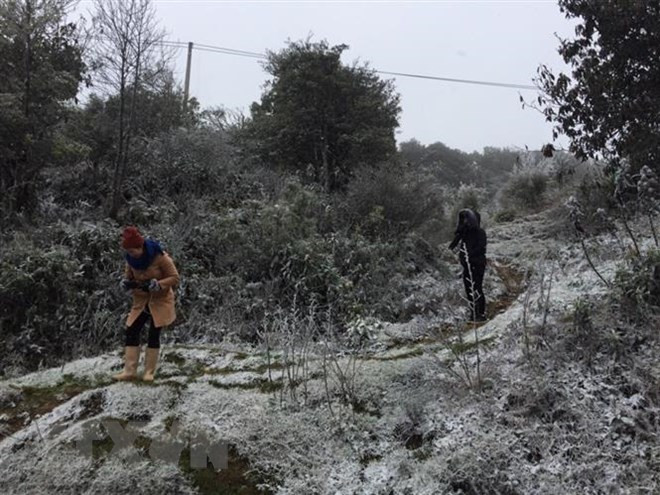 老街和谅山省遭受今年冬季以来最低的气温 ảnh 1 老街和谅山省遭受今年冬季以来最低的气温 ảnh 1