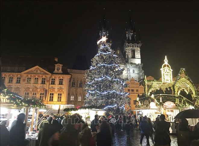 海外越南人欢庆2019新年 ảnh 1