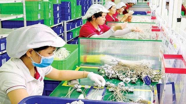 隆安省吸引外资名列九龙江三角洲地区前茅 ảnh 1 隆安省吸引外资名列九龙江三角洲地区前茅 ảnh 1