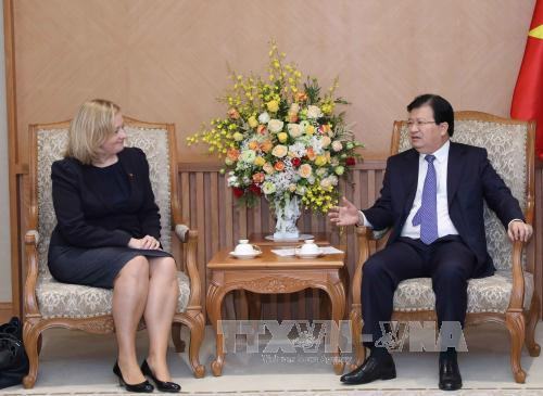 政府副总理郑廷勇会见爱尔兰驻越大使卡西•莫兰 ảnh 2 政府副总理郑廷勇会见爱尔兰驻越大使卡西•莫兰 ảnh 2