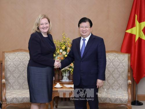 政府副总理郑廷勇会见爱尔兰驻越大使卡西•莫兰 ảnh 1 政府副总理郑廷勇会见爱尔兰驻越大使卡西•莫兰 ảnh 1