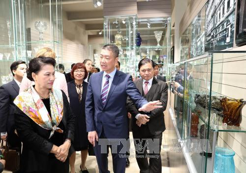 国会主席阮氏金银走访捷克卡罗维发利州 ảnh 3