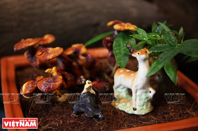 “越南理想”蘑菇品牌 ảnh 11 “越南理想”蘑菇品牌 ảnh 11