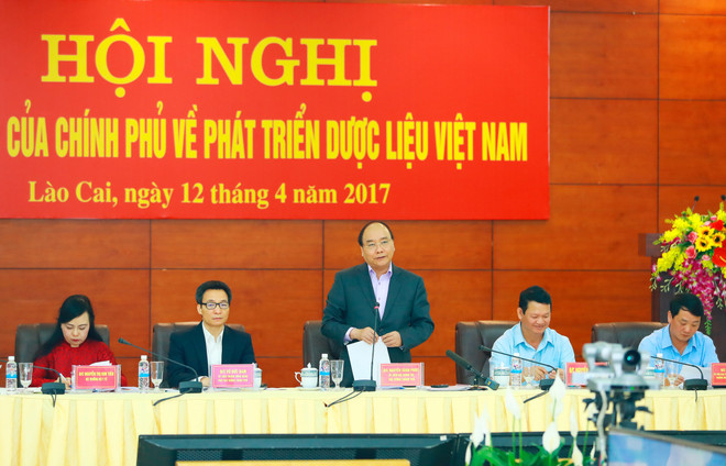 阮春福主持召开全国药材发展工作视频会议 ảnh 1 阮春福主持召开全国药材发展工作视频会议 ảnh 1