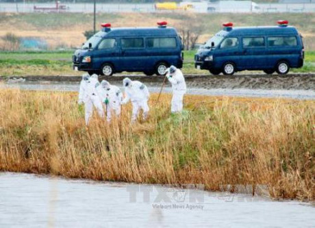 在日越籍女童被杀案：日方希望尽早查明案件真相 ảnh 1