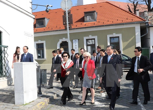 越南国会主席阮氏金银对匈牙利山丹丹镇进行工作访问 ảnh 1 越南国会主席阮氏金银对匈牙利山丹丹镇进行工作访问 ảnh 1