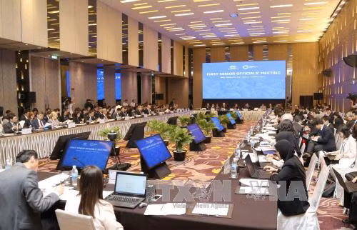 APEC在保障粮食安全中取得许多进展 ảnh 1