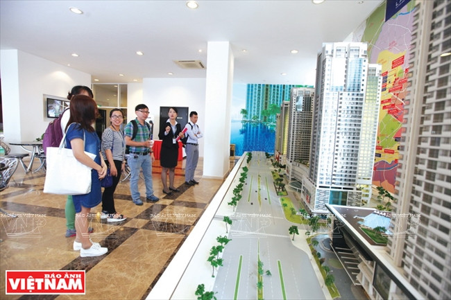 “远东明珠”新貌(组图) ảnh 12 “远东明珠”新貌(组图) ảnh 12