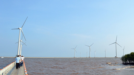 越南薄辽省致力改善投资环境 ảnh 1 越南薄辽省致力改善投资环境 ảnh 1