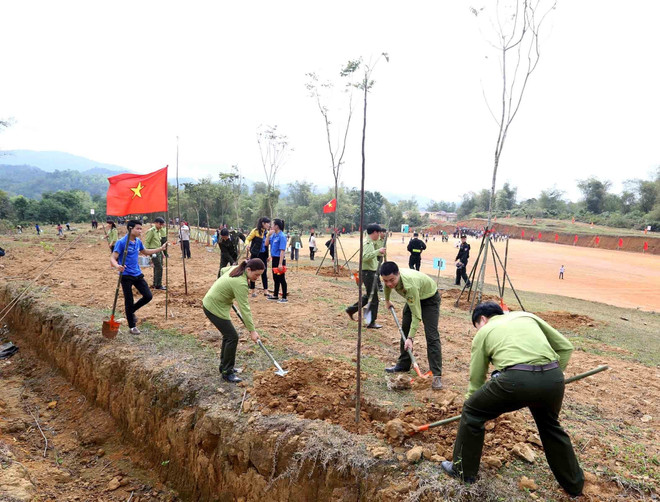 推进植树和造林工作 努力保护环境 ảnh 1 推进植树和造林工作 努力保护环境 ảnh 1