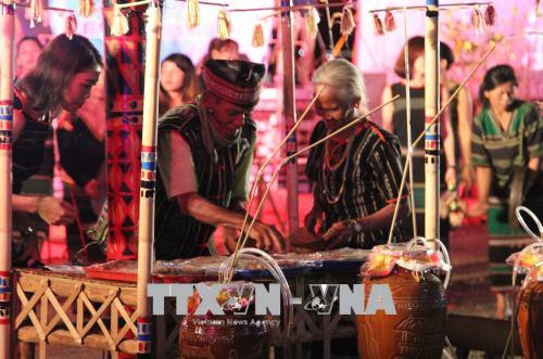 莫侬高原上春意浓浓 ảnh 2