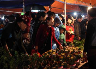 四面八方游客纷纷组团赶南定旺市 ảnh 3 四面八方游客纷纷组团赶南定旺市 ảnh 3