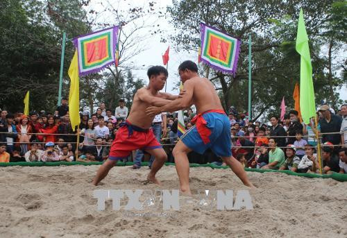 越南各地陆续举行春季庙会和迎春活动 ảnh 3 越南各地陆续举行春季庙会和迎春活动 ảnh 3