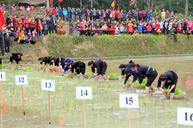 各地陆续举行春季民俗活动 ảnh 2