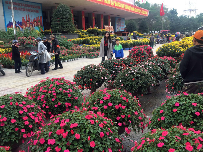 2018戊戌年春节期间得乐省接待游客量增长20% ảnh 2