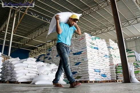 2017年柬埔寨出口总额增长13% ảnh 1 2017年柬埔寨出口总额增长13% ảnh 1