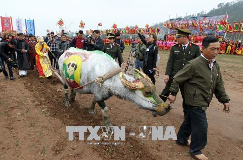 2018年碗山乡籍田节拉开序幕 ảnh 1 2018年碗山乡籍田节拉开序幕 ảnh 1