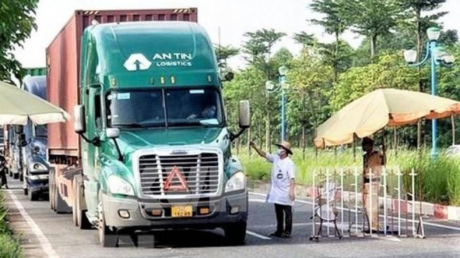 越南南部19个省内货物运输驾驶员无需提供新冠病毒检测阴性证明 ảnh 1 越南南部19个省内货物运输驾驶员无需提供新冠病毒检测阴性证明 ảnh 1