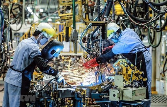 受新冠疫情冲击2021年前7月外资企业注册资本下降11% ảnh 1