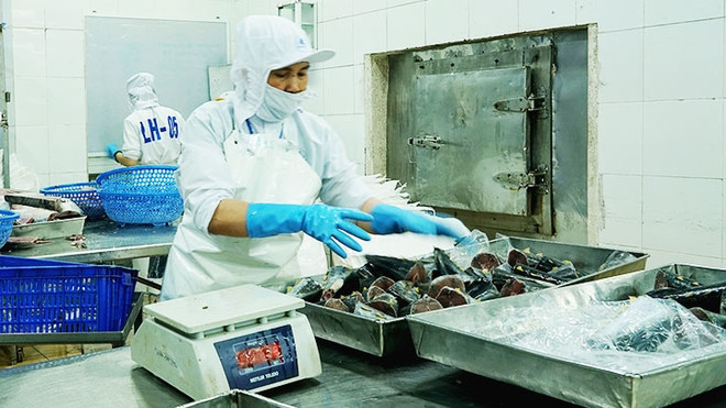 推动对欧盟出口农产品 ảnh 1