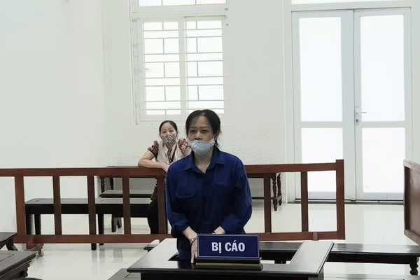 利用律师名义之便损害个人和组织名誉的阮氏水获刑20个月 ảnh 1 利用律师名义之便损害个人和组织名誉的阮氏水获刑20个月 ảnh 1