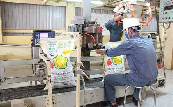 2021年上半年越南饲料对外出口逾5亿美元 ảnh 1 2021年上半年越南饲料对外出口逾5亿美元 ảnh 1