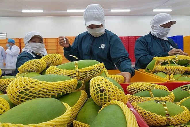 2021年越南果蔬出口额有望突破40亿美元大关 ảnh 1 2021年越南果蔬出口额有望突破40亿美元大关 ảnh 1