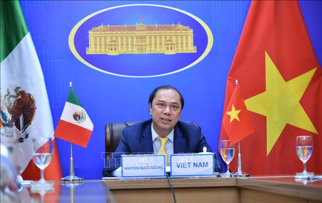 越南与墨西哥第六次政治磋商以视频形式举行 ảnh 2