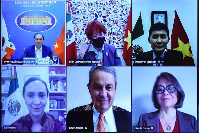 越南与墨西哥第六次政治磋商以视频形式举行 ảnh 1