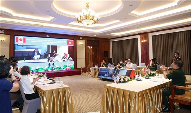 越南与加拿大第一次国防政策对话以视频方式举行 ảnh 2 越南与加拿大第一次国防政策对话以视频方式举行 ảnh 2