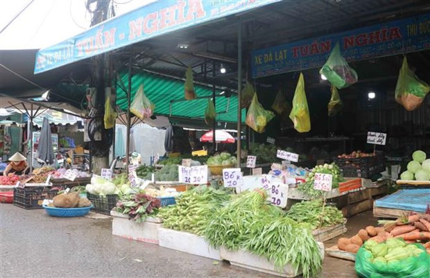 新冠肺炎疫情:胡志明市传统集市重新开放 优先销售食品及生活必需品 ảnh 1  新冠肺炎疫情:胡志明市传统集市重新开放 优先销售食品及生活必需品 ảnh 1