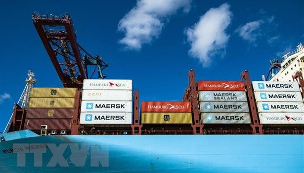 越南驻俄大使馆商务参赞：在俄越南企业需要密切关注乌局势变化做好务实应对 ảnh 2