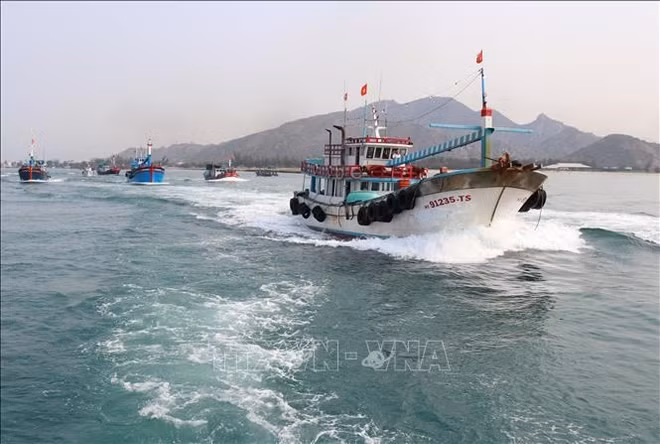 解除IUU“黄牌”：协助渔民进行远海捕捞 ảnh 1