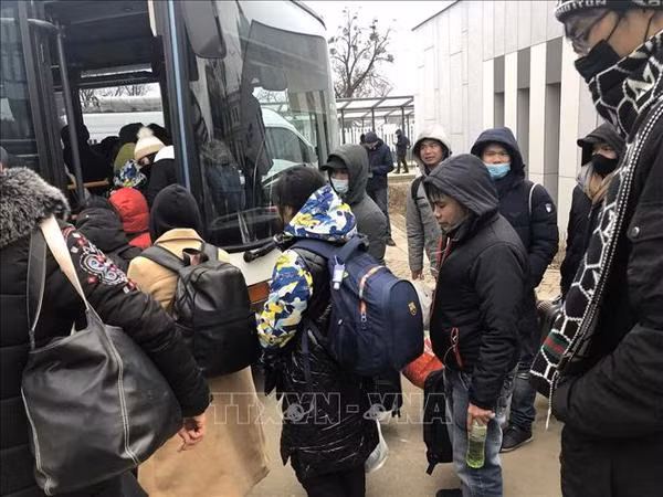 越南政府批准将在乌越南人接回国的航班执行计划 ảnh 1