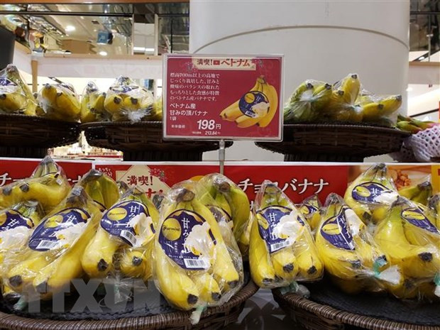 越南参加2022第47届日本国际食品饮料展 ảnh 1 越南参加2022第47届日本国际食品饮料展 ảnh 1