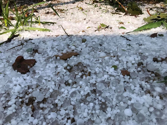 山罗省发生冰雹灾害 民房和农作物严重受损 ảnh 1