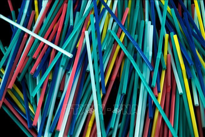 促进一次性塑料产品的替代方案 ảnh 1