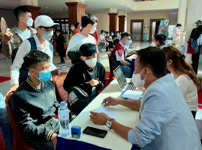 胡志明市劳动力市场出现积极迹象 创造就业岗位近5.5万个 ảnh 1