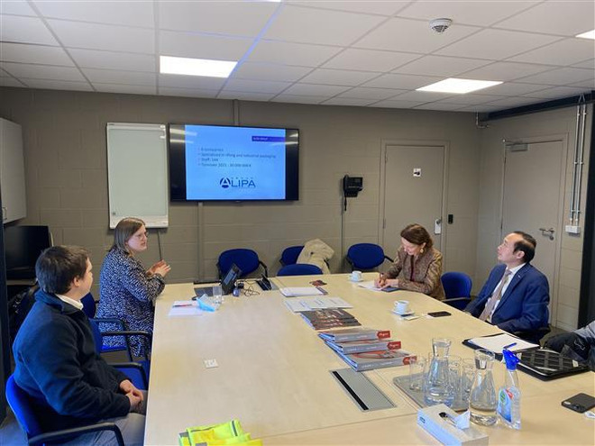 促进越南与卢森堡之间的贸易和投资关系 ảnh 2