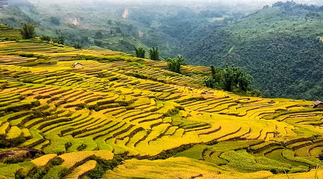 越南老街省力争2022年接待游客量超400万人次 ảnh 1 越南老街省力争2022年接待游客量超400万人次 ảnh 1