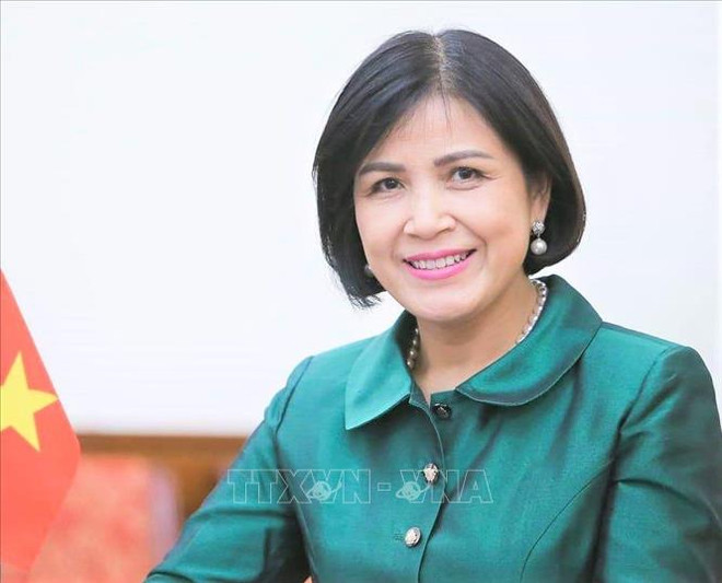 越南同WTO成员国加强合作 提高妇女在国际贸易中的参与度 ảnh 1 越南同WTO成员国加强合作 提高妇女在国际贸易中的参与度 ảnh 1